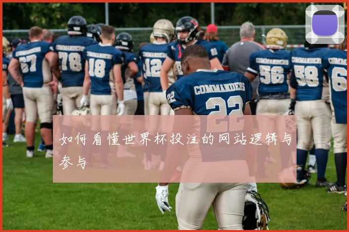 如何看懂世界杯投注的网站逻辑与参与